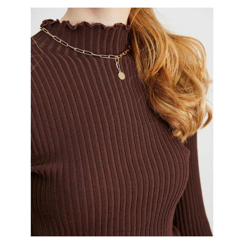 Women's Brown High Neck Sweater