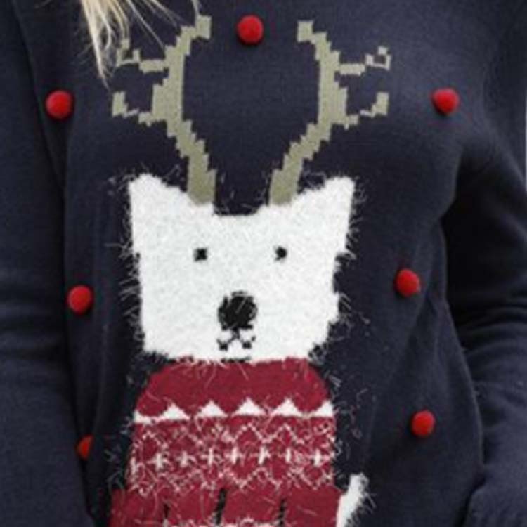 Women's Cartoon Front Accent Christmas Sweater